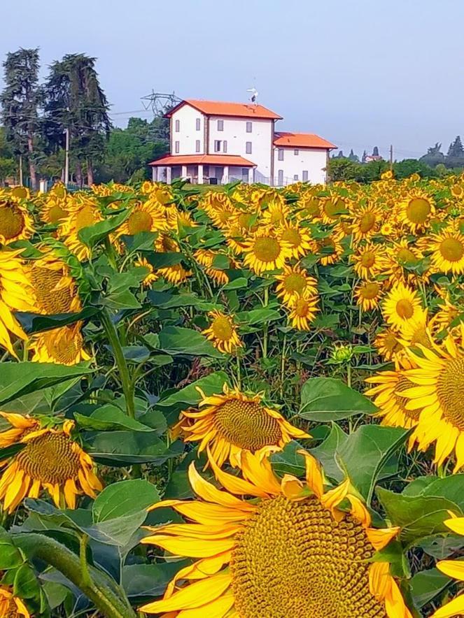 La Collinetta B&B Crespellano Εξωτερικό φωτογραφία